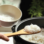 Digitalni elektricni expres lonac